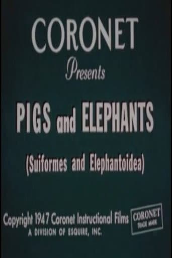 Watch Pigs and Elephants (Suiformes and Elephantoidea) free online