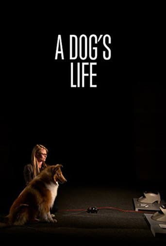 Watch A Dog's Life free online