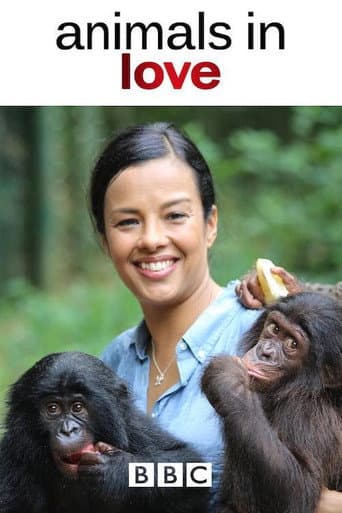 Watch Animals in Love free online
