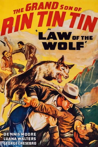 Watch Law of the Wolf free online