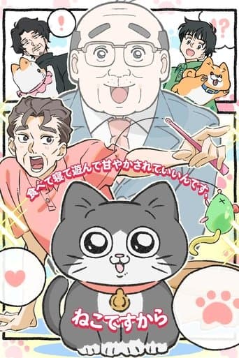Watch Cat Uncle: The Guy That Got Reincarnated As a Cat free online
