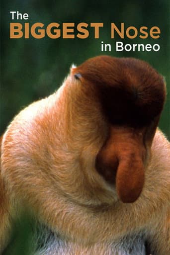 Watch The Biggest Nose in Borneo free online