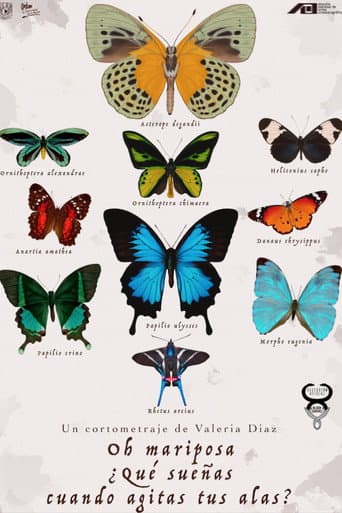 Watch Oh Butterfly, What Do You Dream of When You Flap Your Wings? free online