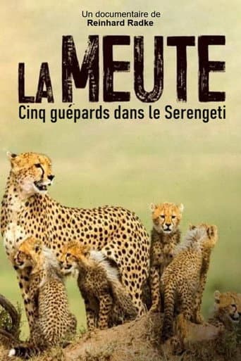 Watch Die fünf Geparde - Gemeinsam durch die Serengeti free online
