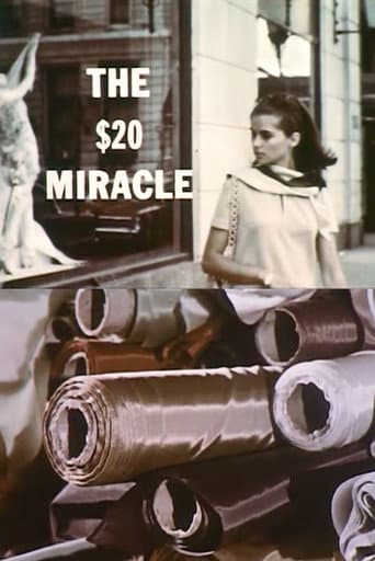 Watch The Twenty Dollar Miracle free online