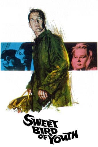 Watch Sweet Bird of Youth free online
