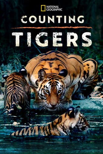 Watch Counting Tigers free online
