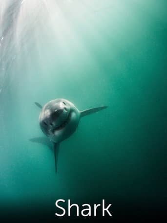 Watch Shark: Beneath the Surface free online