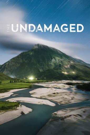 Watch The Undamaged free online
