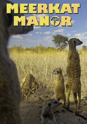 Watch Meerkat Manor free online