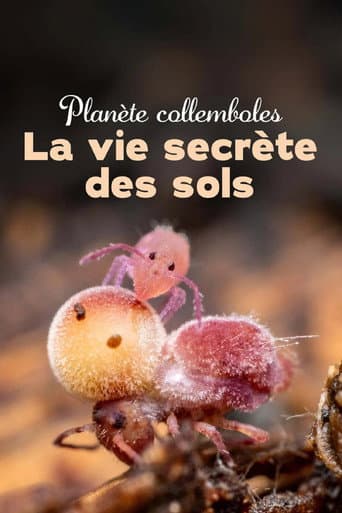 Watch Springtails: The hidden soldiers of Earth free online