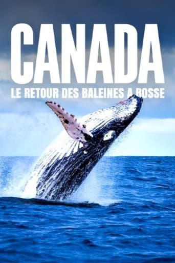 Watch Le retour des baleines à bosse free online