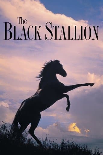 Watch The Black Stallion free online