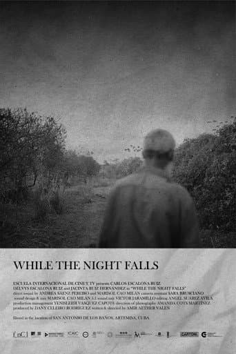 Watch While The Night Falls free online