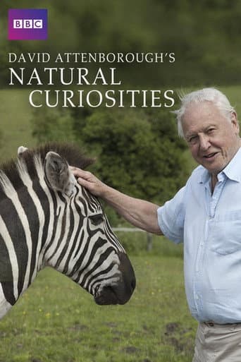 Watch David Attenborough's Natural Curiosities free online