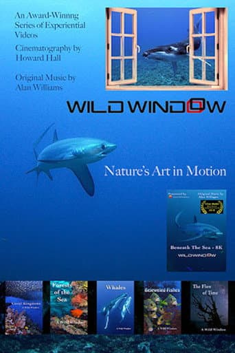 Watch Wild Window free online