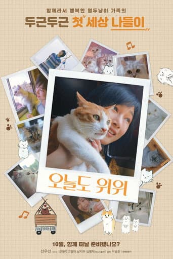 Watch The Journey of the 12 Cats free online