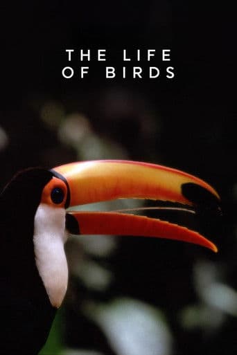 Watch The Life of Birds free online