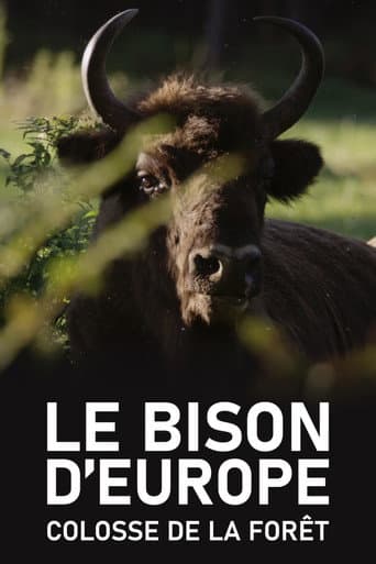 Watch Le Bison d'Europe, colosse de la forêt free online