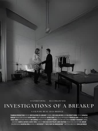 Watch Investigations of a Breakup free online