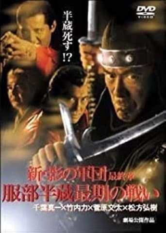 Watch New Shadow Warriors VI: The Final Chapter free online