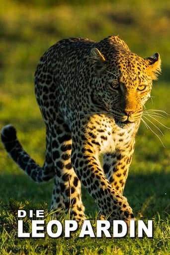 Watch The Leopardess free online
