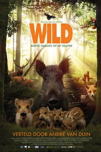 Watch Wild free online