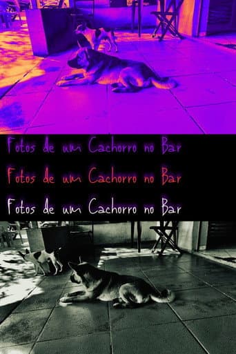 Watch Pictures of a Dog at the Bar free online