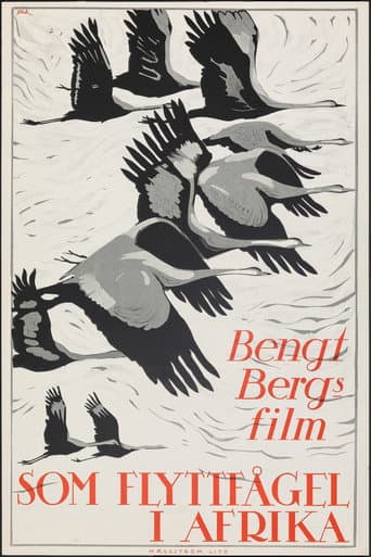 Watch As a Migratory Bird in Africa free online