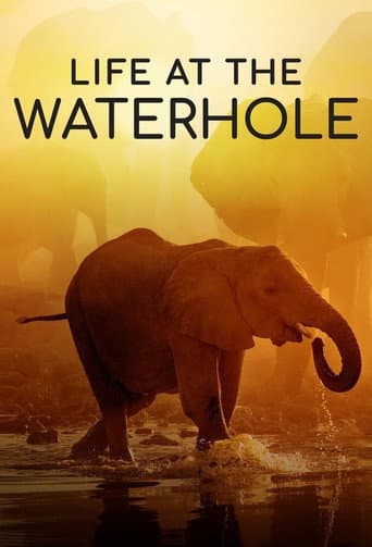 Watch Life at the Waterhole free online