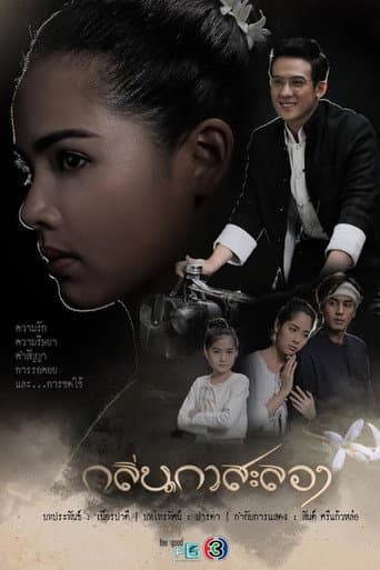 Watch Scent of Love free online
