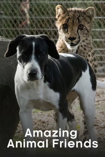 Watch Amazing Animal Friends free online