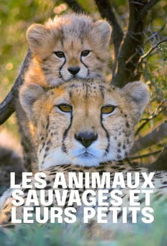 Watch Tierkinder der Wildnis free online