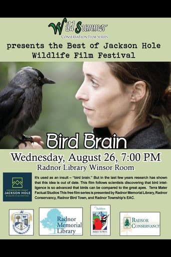 Watch Bird Brain free online