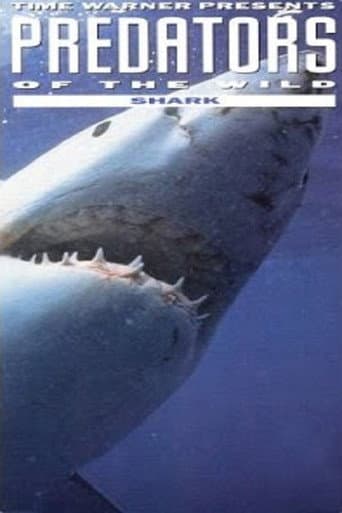 Watch Predators of the Wild: Shark free online
