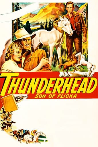 Watch Thunderhead: Son of Flicka free online