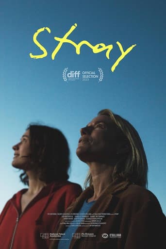 Watch Stray free online