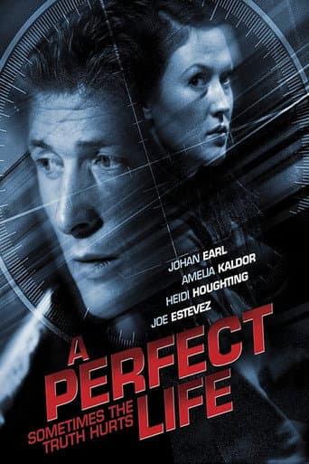 Watch A Perfect Life free online