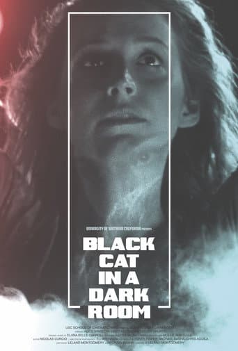 Watch Black Cat in a Dark Room free online