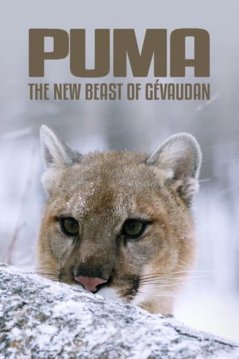 Watch Cougar: On the Trail of the Ghost Cat free online