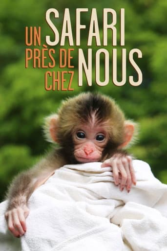 Watch Un safari près de chez nous free online
