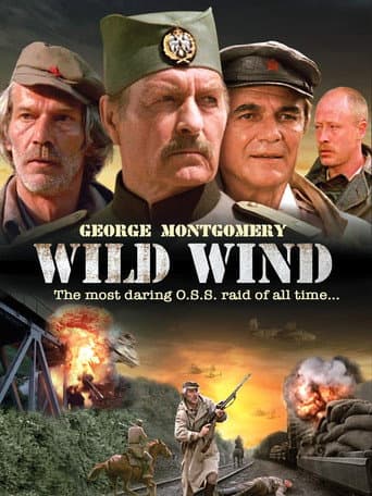 Watch Wild Wind free online