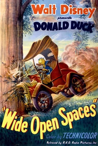Watch Wide Open Spaces free online