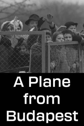 Watch A Plane from Budapest free online