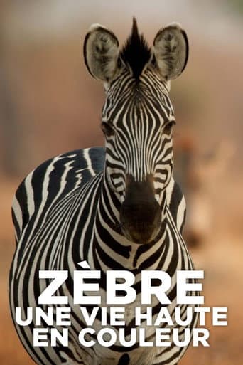 Watch Zèbre, une vie haute en couleur free online