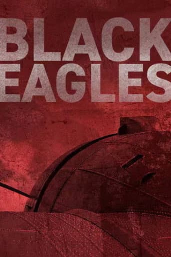 Watch Black Eagles free online