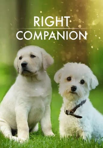 Watch The Right Companion free online