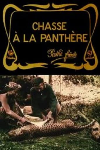 Watch Hunting the Panther free online