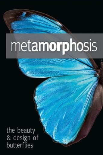 Watch Metamorphosis: The Design and Beauty of Butterflies free online