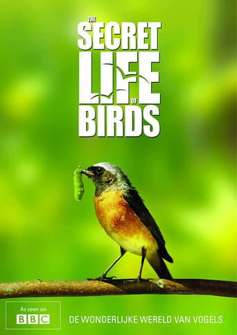 Watch Iolo's Secret Life of Birds free online